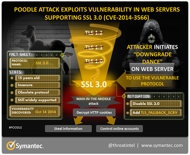 Poodle vulnerability.png